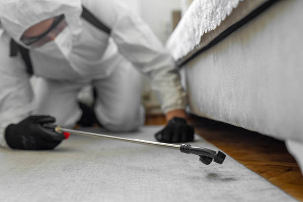 Professional Termite Control technician working in Renova, MS