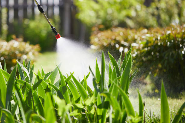 24/7 Emergency Termite Control experts in Renova, MS